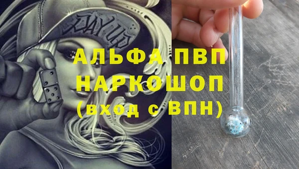 гашик Балахна