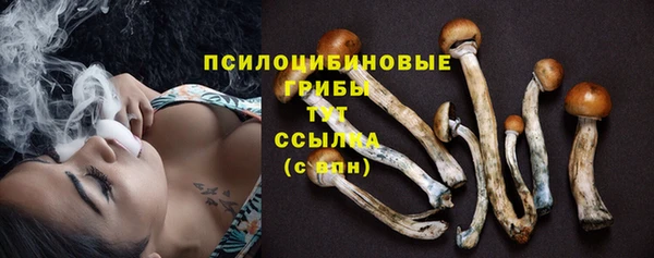 гашик Балахна